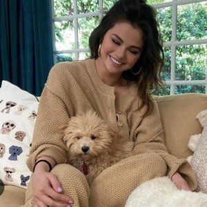 NWT Free People Hailee Sweater Set - Au Lait